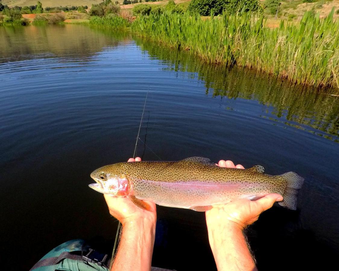 Walkersons Trout And Nature Haven ดัลสทรูม ภายนอก รูปภาพ