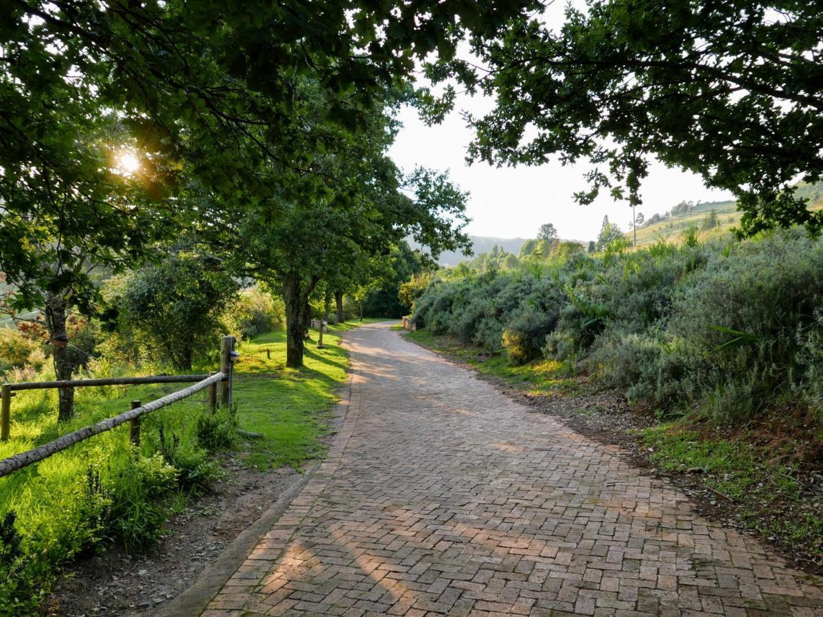 Walkersons Trout And Nature Haven ดัลสทรูม ภายนอก รูปภาพ