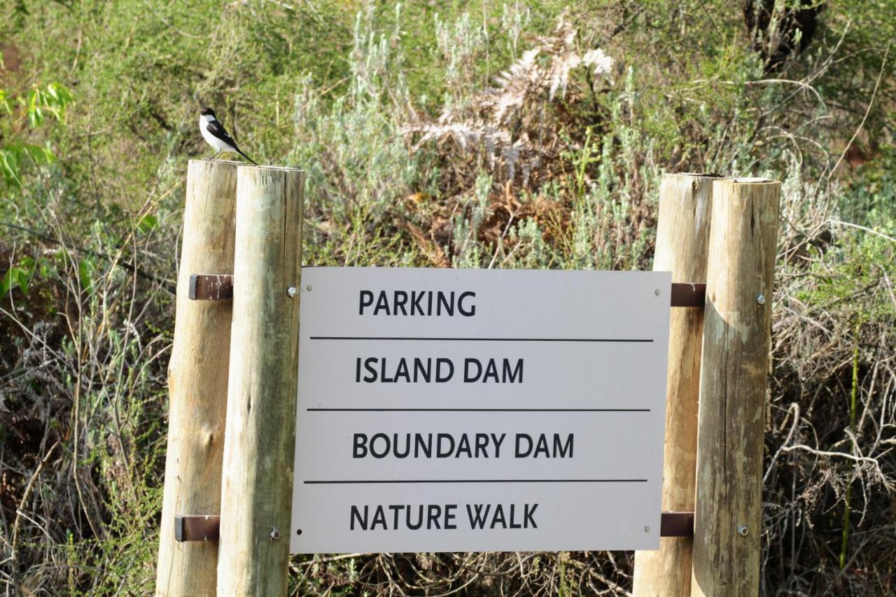 Walkersons Trout And Nature Haven ดัลสทรูม ภายนอก รูปภาพ