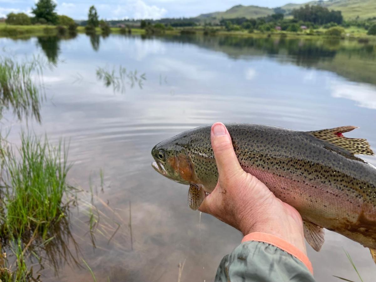 Walkersons Trout And Nature Haven ดัลสทรูม ภายนอก รูปภาพ